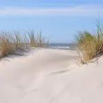 Horizont