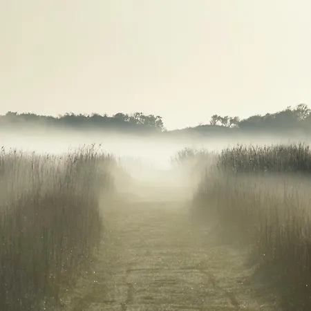 Horizont *
