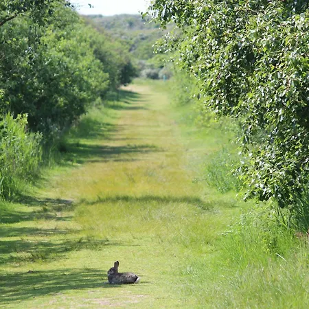 Horizont Apartmán *